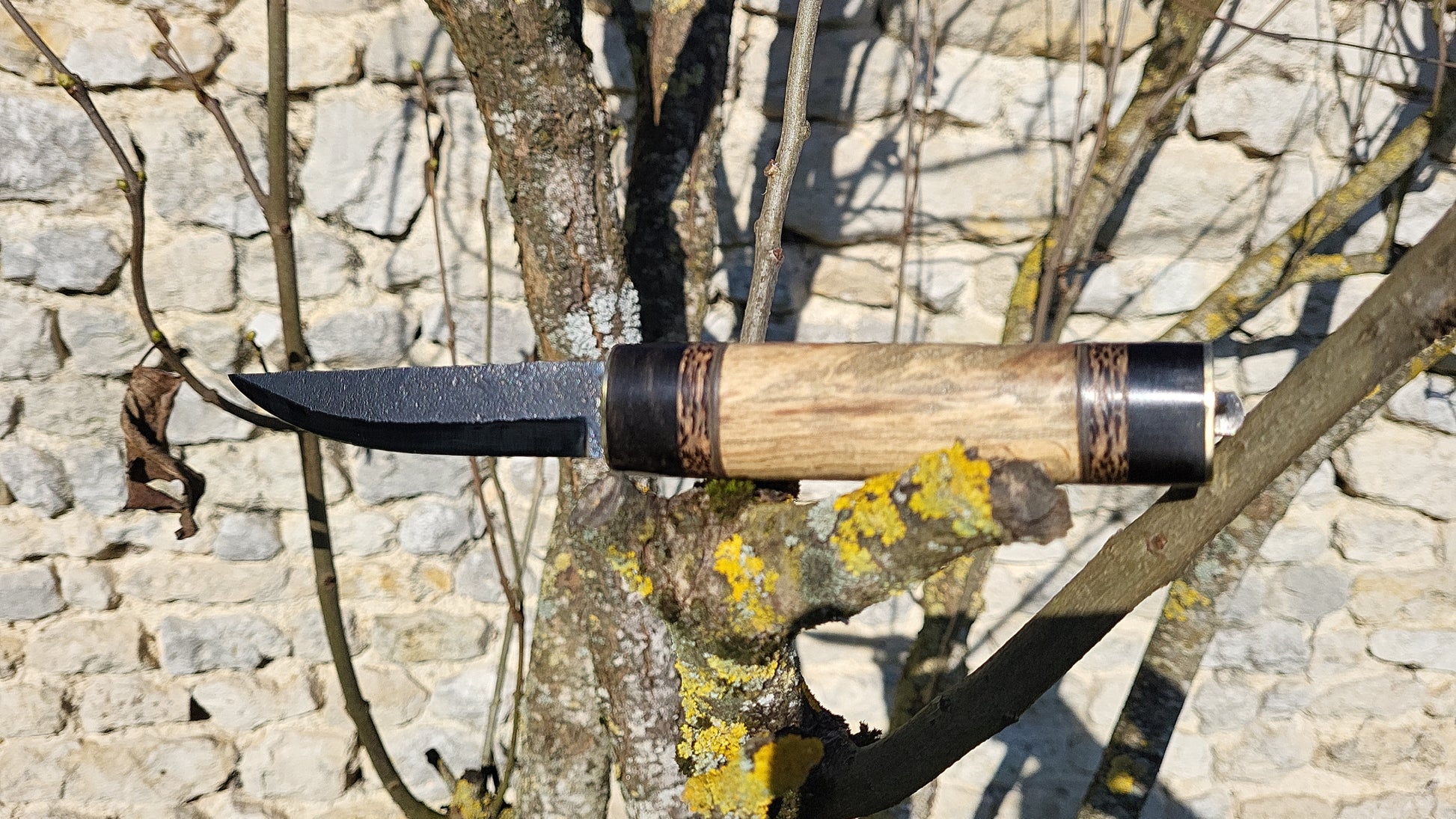 PUUKKO n°3 - Hêtre échauffé - Couteau fixe